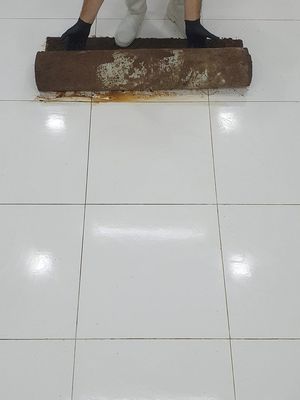⁣Amazing Mud Remover Cleaning From Flooded Old Carpet