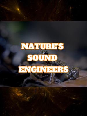 Wildlife Stories How This Tiny Frog Outsmarted