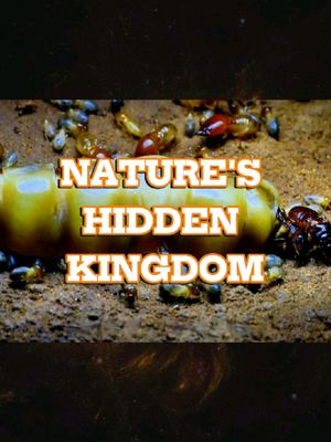 Wildlife Stories