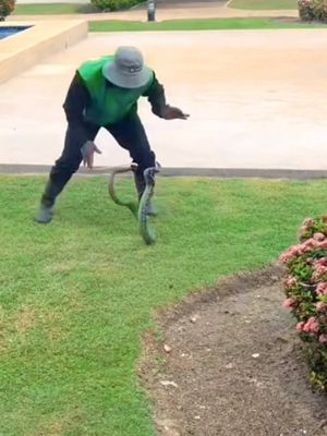 ⁣Watch until the end! Gardener has some skills 😂