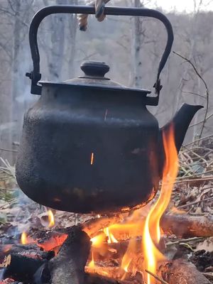 ⁣How I Created Natural Shelters in Cool Environments