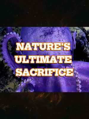 ⁣Octopus Mom's 2-Year Death Watch: The Ultimate Sacrifice No One Talks